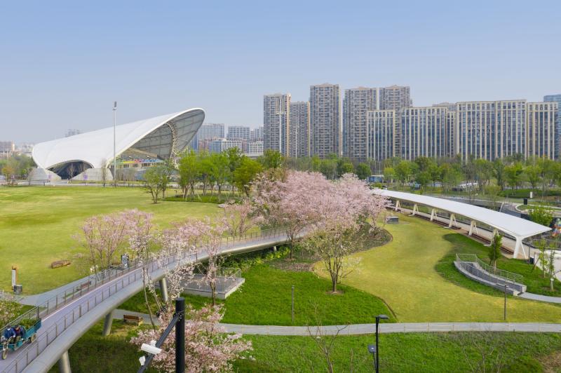 Оазис среди высоток: как выглядит парк Азиатских игр в Ханчжоу